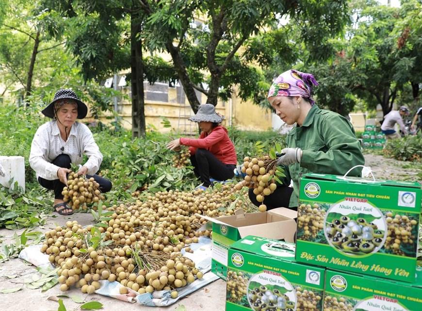 探寻兴安盟的职场机遇，58同城网招聘引领未来就业市场