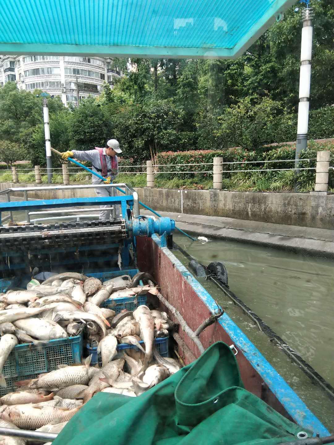 苏州保洁员招聘启事——探寻58同城上的职业机遇